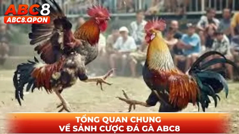 Tổng quan chung về sảnh cược đá gà ABC8