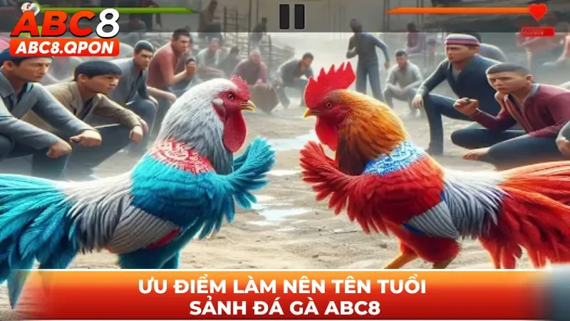 Ưu điểm làm nên tên tuổi sảnh đá gà ABC8